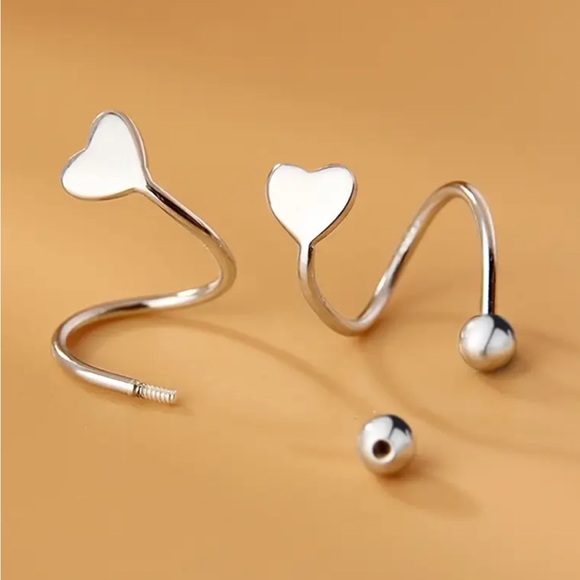 Stainless Steel Heart S Shaped Earrings - Picture 2 of 3